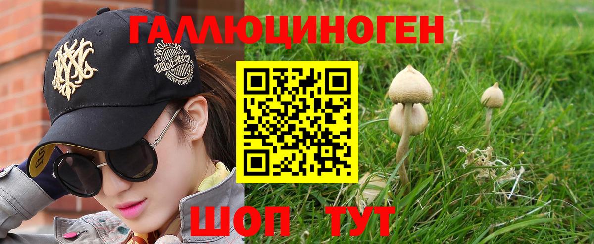Междуреченск  Галлюциногенные грибы мицелий  Галлюциногенные грибы GOLDEN TEACHER  Вход с VPN 